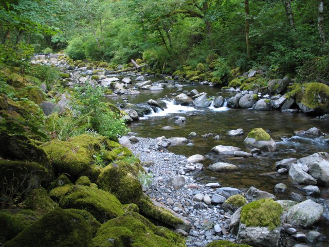 7.30.06 Wahclella Falls 006 